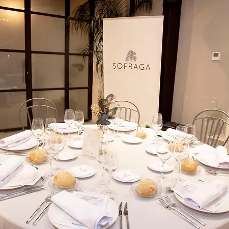 Sofraga Palacio 4*