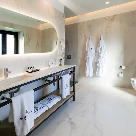 Sofraga Palacio Otel 4*