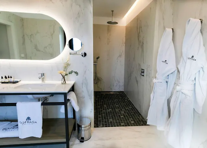 호텔 Sofraga Palacio 4*