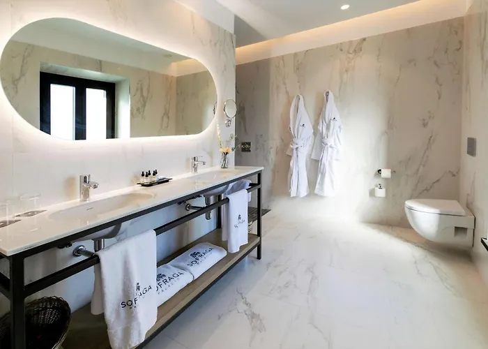 호텔 Sofraga Palacio 4*