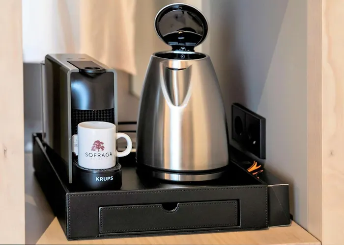 Sofraga Palacio Ávila